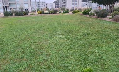Departamento en Arriendo en Lomas de Puyai I
