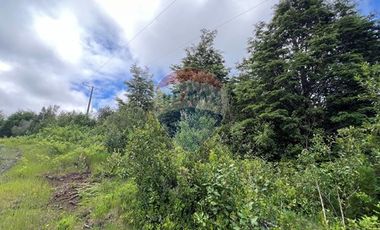 Parcela Villarrica - LicanRay