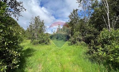 Parcela Villarrica - LicanRay