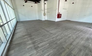 EXCLUSIVO SAN DAMIAN, Vista Avenida Las Condes