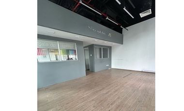 EXCLUSIVO SAN DAMIAN, Vista Avenida Las Condes