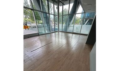 EXCLUSIVO SAN DAMIAN, Vista Avenida Las Condes