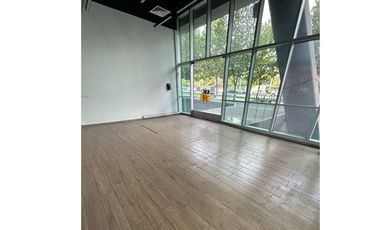 EXCLUSIVO SAN DAMIAN, Vista Avenida Las Condes