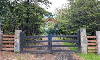 Parcela Villarrica - LicanRay