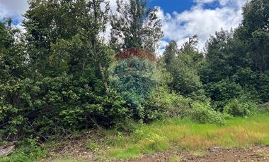 Parcela Villarrica - LicanRay