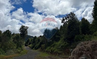 Parcela Villarrica - LicanRay