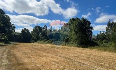 10 Ha en Pumalal
