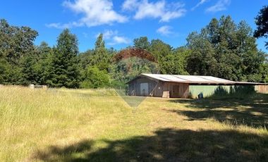 10 Ha en Pumalal