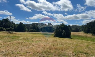 10 Ha en Pumalal