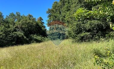 10 Ha en Pumalal