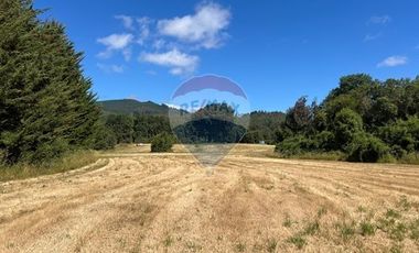 10 Ha en Pumalal