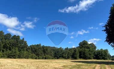 10 Ha en Pumalal