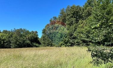 10 Ha en Pumalal