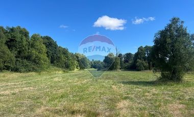 10 Ha en Pumalal