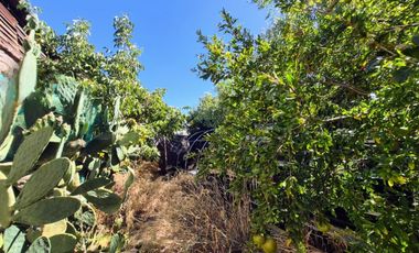 SALVADOR GUTIÉRREZ - RADAL FRANCISCO ANABALÓN