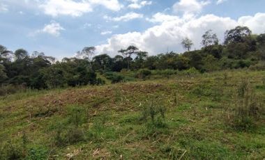 VENTA de LOTES en SILVANIA