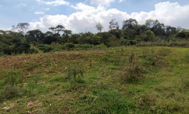 VENTA de LOTES en SILVANIA