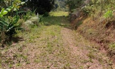 VENTA de LOTES en SILVANIA