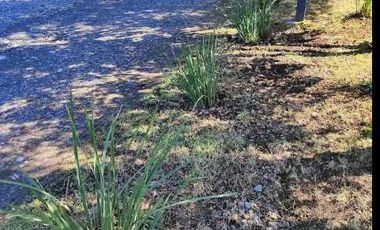 Parcela en venta  en VILLARRICA
