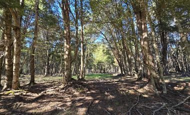 Parcela en venta  en RÍO IBAÑEZ