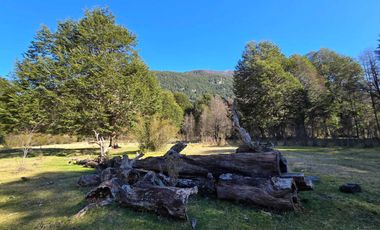 Parcela en venta  en RÍO IBAÑEZ
