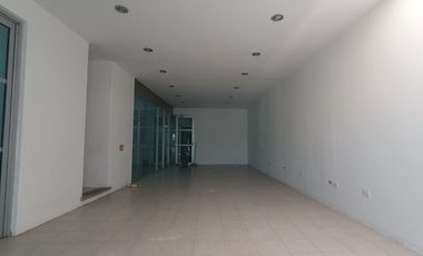 BODEGA CON OFICINAS