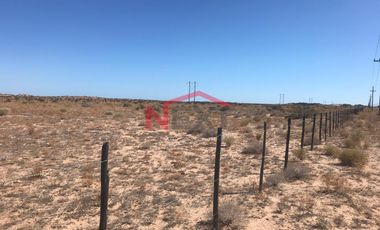 SE VENDEN TERRENOS EN PUERTO PEÑASCO