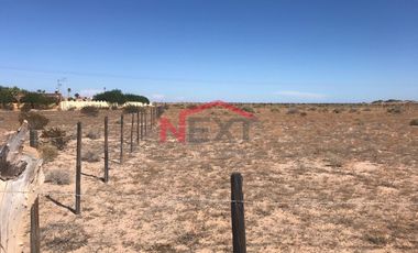 SE VENDEN TERRENOS EN PUERTO PEÑASCO