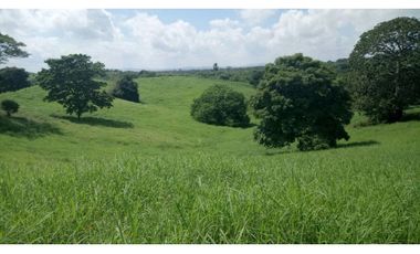 Finca en venta en  Montería vía Arboletes