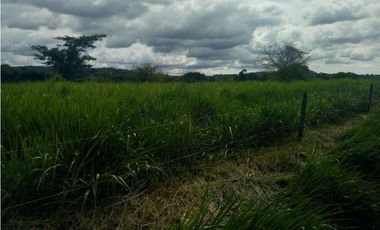 Finca en venta en  Montería vía Arboletes