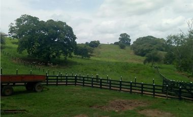 Finca en venta en  Montería vía Arboletes