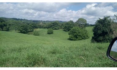 Finca en venta en  Montería vía Arboletes