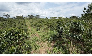 VENTA DE FINCA EN QUIMBAYA, QUINDO, COLOMBIA