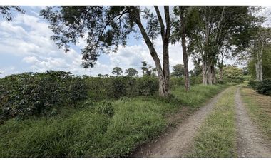 VENTA DE FINCA EN QUIMBAYA, QUINDO, COLOMBIA