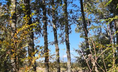 Parcela con vista al volcán y vegetación