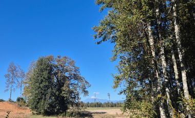 Parcela con vista al volcán y vegetación