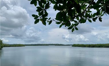 Vendo finca en Bocas del Toro Isla Bastimento L.T