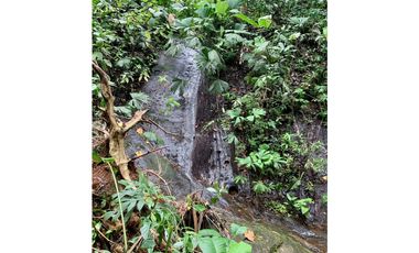 Vendo finca en Bocas del Toro Isla Bastimento L.T