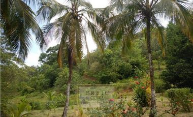 Vendo finca en Bocas del Toro Isla Bastimento L.T