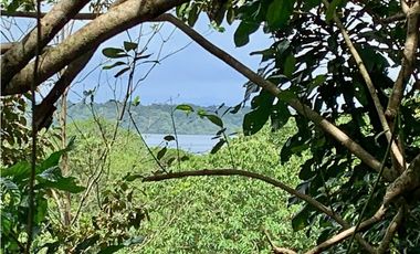 Vendo finca en Bocas del Toro Isla Bastimento L.T