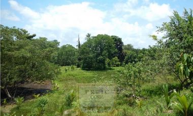 Vendo finca en Bocas del Toro Isla Bastimento L.T