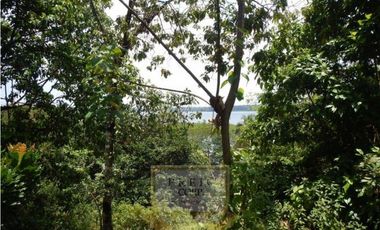 Vendo finca en Bocas del Toro Isla Bastimento L.T