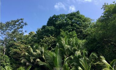 Vendo finca en Bocas del Toro Isla Bastimento L.T