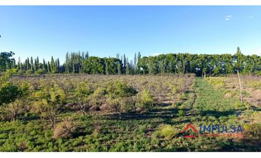 Finca 6 ha en Colonia Elena, San Rafael – Casa a reciclar