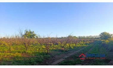Finca 6 ha en Colonia Elena, San Rafael – Casa a reciclar