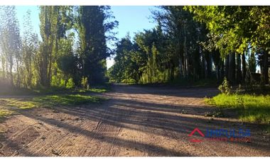 Finca 6 ha en Colonia Elena, San Rafael – Casa a reciclar