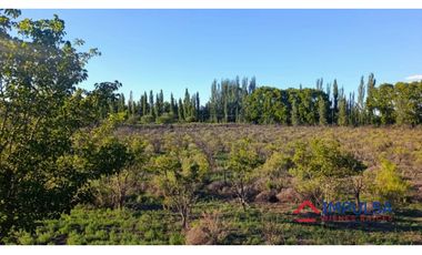 Finca 6 ha en Colonia Elena, San Rafael – Casa a reciclar