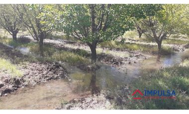 Finca 6 ha en Colonia Elena, San Rafael – Casa a reciclar