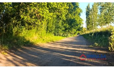 Finca 6 ha en Colonia Elena, San Rafael – Casa a reciclar