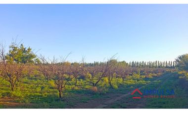 Finca 6 ha en Colonia Elena, San Rafael – Casa a reciclar